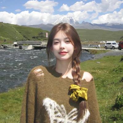 野良猫洛克:女番长